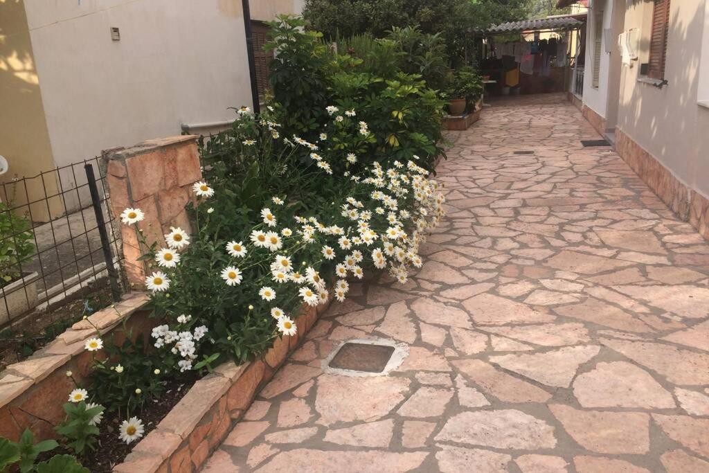 Eva'S Apartment Plataria Exterior photo